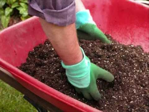 Making your own inexpensive potting mix Making your own inexpensive potting mix