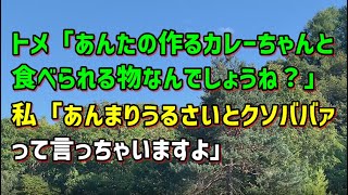 【スカッとひろゆき】トメ「あんたの作るカレーちゃんと食べられる物なんでしょうね？」 私「あんまりうるさいとクソババァって言っちゃいますよ」