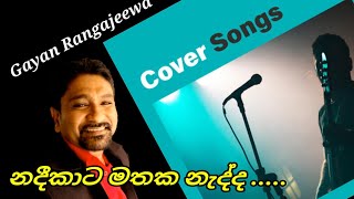 Nadeekata Mathaka nedda | cover  song | Gayan Rangajeewa