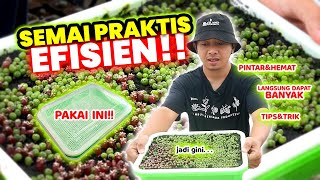 PAKAI INI!! Sekali Semai Bisa Ribuan Biji Kaktus