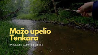 Pamiršta tenkaros kelionė prie mažo upelio / Vasarinė upėtakių ir kiršlių žvejyba (Tenkara Fishing)