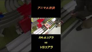 FM Aコアラ対ＶＳコアラ　ミニ四駆アニマル対決 #shorts