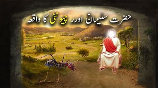 Hazrat Suleman as aur Chunti Ka Waqiya | Islamic Stories  | Islamic LifeCycle