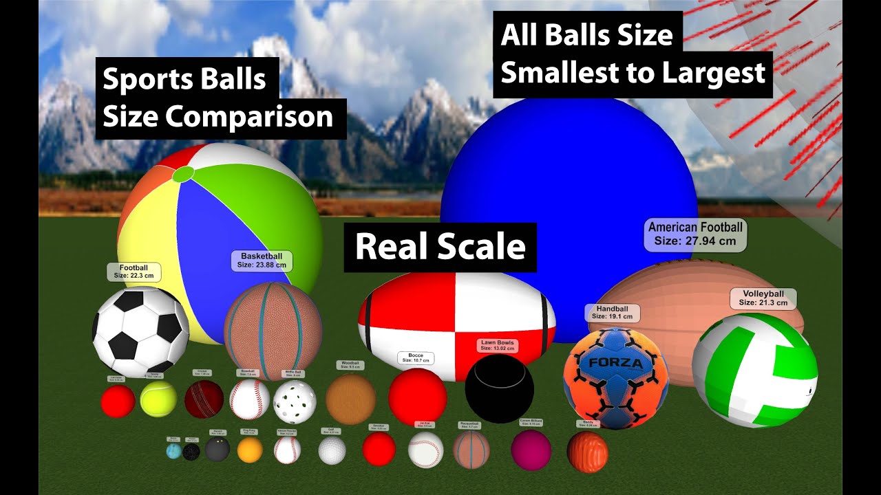 Sports Balls Size Comparison At Madeleine Darbyshire Blog