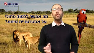 טיפ מיתוג בדקה למנהיגי חינוך! - מה אפשר ללמוד מתוכי על אסטרטגיית מיתוג?