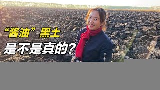 东北黑土是用酱油卤的？南方小梦远嫁北大荒腹地，仔细打探情况