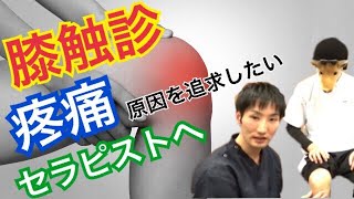 触診膝関節編2　触診に自信がない新人理学療法士・作業療法士さんへ