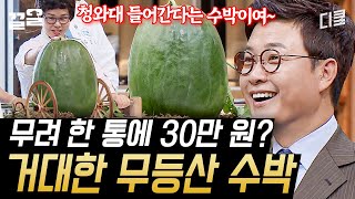 20kg의 거대한 무등산 수박🍉 줄무늬도 없는데 이게 호박아닌 수박이라고? | 한식대첩2