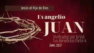 Vivificados por la Vid: Tus beneficios, Parte 4 (Juan 15:7)