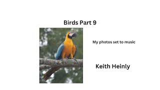 Birds Part 9