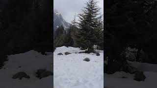 മണാലിയിലെ മഞ്ഞ് കണ്ടിട്ടുണ്ടോ🥶  manali || himachal pradesh || snow  || Kerala to Manali || solo