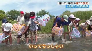 《元気に育ちますように》小学生がアユ放流「めっちゃかわいい」「おいしそう」1万5000匹が川へ (24/05/20 19:00)