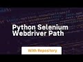 python selenium webdriver path