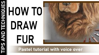 HOW TO DRAW FUR IN PASTELS | CURLY, THICKER FUR | VOICE OVER