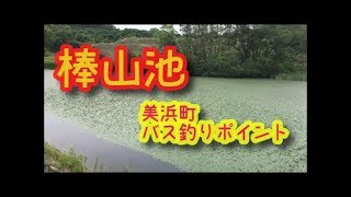 棒山池　ブラックバス釣りポイント　愛知県美浜町　恋の水神社の近くの野池