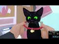 Little Kitty, Big City Any% SpeedRun (3m 23s 667ms)