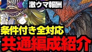 【ハロウィンリンシア降臨】2分台！条件付き全対応！激ウマ報酬を回収しよう！ネロミェール共通編成代用＆立ち回り解説！【パズドラ】