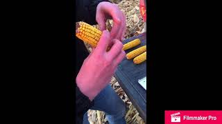 Estimating Corn Yield - James Erickson