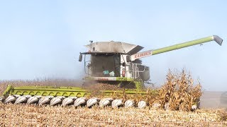 🇫🇷 XXL CORN Harvest / Moisson Maïs in FRANCE ! 16 ROWS \u0026 Lexion 770