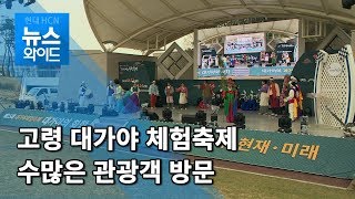 고령군 대가야체험축제 개막 / 대구경북 현대HCN