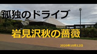 北海道　孤独のドライブ　旅人　車旅　車窓ナレーション　岩見沢公園秋のパラ