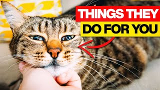 Your Cat Does These Things For You Without You Knowing