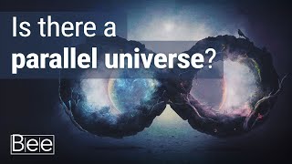 Have We Found a Parallel Universe?