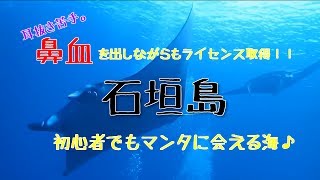 石垣島ダイビングツアー！オープンウォーターライセンス取得 scuba diving