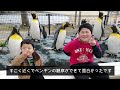 【旅行】長崎ペンギン水族館でペンギンを観察する♪