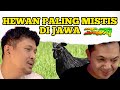 MITOS MITOS HEWAN DI JAWA | JAWA JAWA JAWA