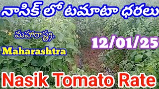 12 January 2025|| Today tomato rate Nasik || Nasik tomato rate Today || Today top rate Nasik