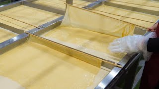 Amazing Tofu Skin Production Factory / 豆腐皮(豆包, 豆腸)生產工廠  - Taiwanese Food