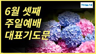 대표기도문/ 대표기도모음/ 6월 셋째 주일예배 대표기도/6월 3주/대표기도 작성하는 방법/주일 대표기도