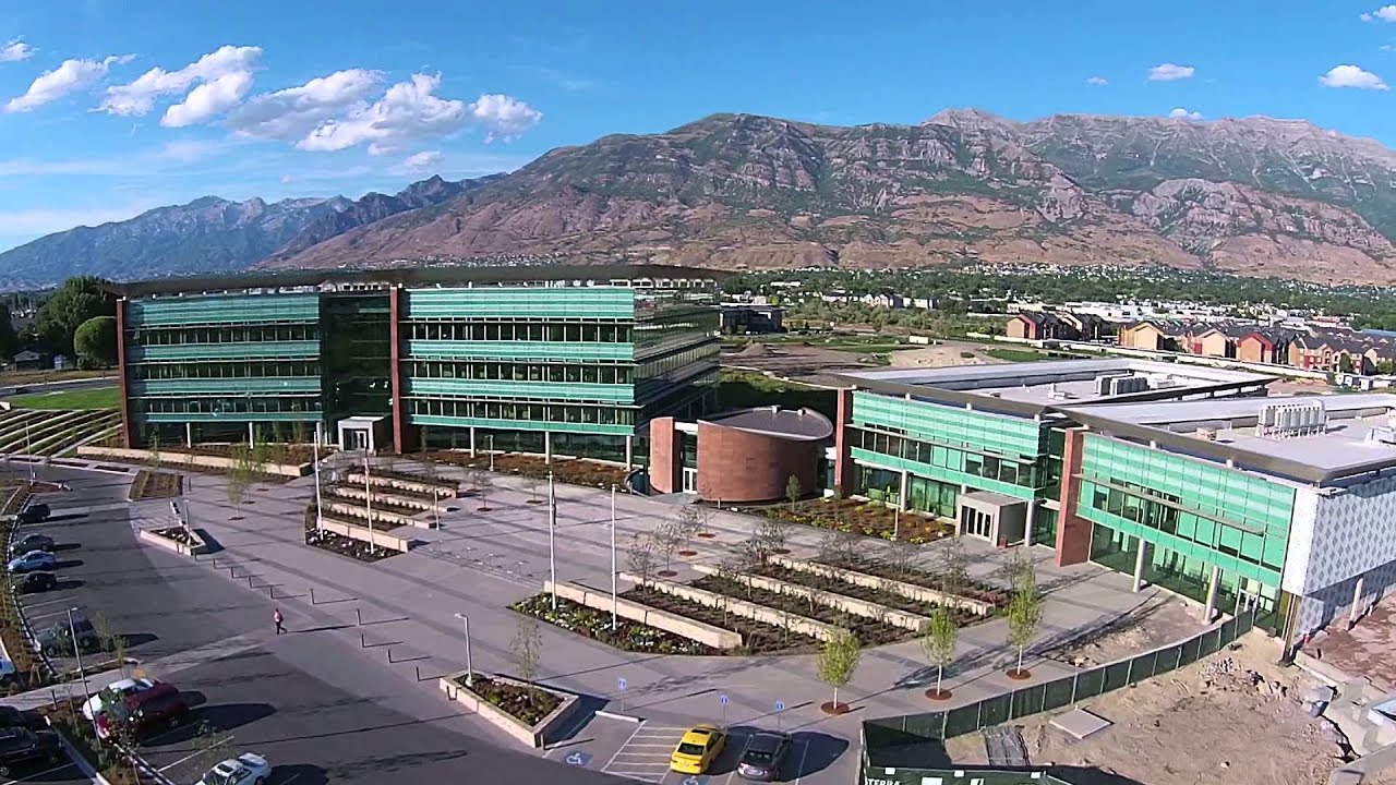 Doterra Business Building