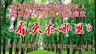 《春天在哪里》动态有声简谱，跟着光标提示快速掌握音准和节奏