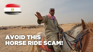 Horse Ride Scam at the Pyramids of Giza 🇪🇬