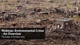 Webinar: An Overview of Environmental Crime