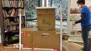 Wild About Nature: Introduction to Cardboard Challenge