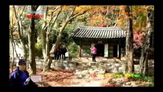 K-ROADTRIP KOREA  seonunsa-dosolam Road Of Fall Red Leaves 선운사-도솔암 단풍길2