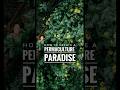 How to Create a Permaculture Paradise at your Homestead or Farm