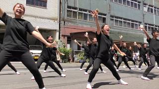 「岐阜聖徳学園大学 柳」犬山踊芸祭2017/6/4(日)【下本町】