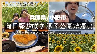 【兵庫】夏と言えば向日葵🌻 兵庫を代表する向日葵の聖地に行って来ましたー！！