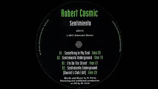 Robert Cosmic - Sentimiento Underground