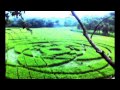 Indonesia crop circles - Sleman Yogyakarta - UFO?