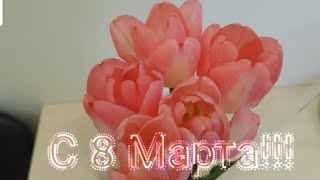 Влог# 253 Как МЫ провели 8 МАРТА🌷🌷🌷