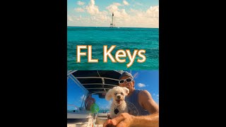 Florida Keys - Alligator Lighthouse #shorts