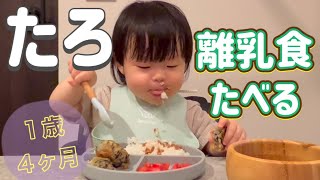 【１歳４ヶ月】たろ離乳食をひらすら食べる動画