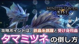 【MHRise/モンスターハンターライズ】操虫棍でのタマミツネの倒し方！立ち回りをご紹介！攻略ポイントは翔蟲！苦手な方でも勝てます！！【鉄蟲糸跳躍/受け身翔蟲/回帰猟虫/金剛体/初心者の方/苦手な方】