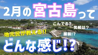 【宮古島観光】夏日は泳げる！？２月の宮古島はどんな感じか地元民が解説