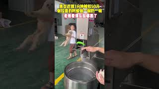 自动断面拉面机，一分钟做12碗面，粗细宽窄都可以做，自动感应压面，自动切断，速度快，光滑筋道口感好。#快速拉面机 #拉面机 #自动断面拉面机